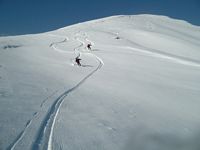 Monte Croce (80), Scialpinismo (52)